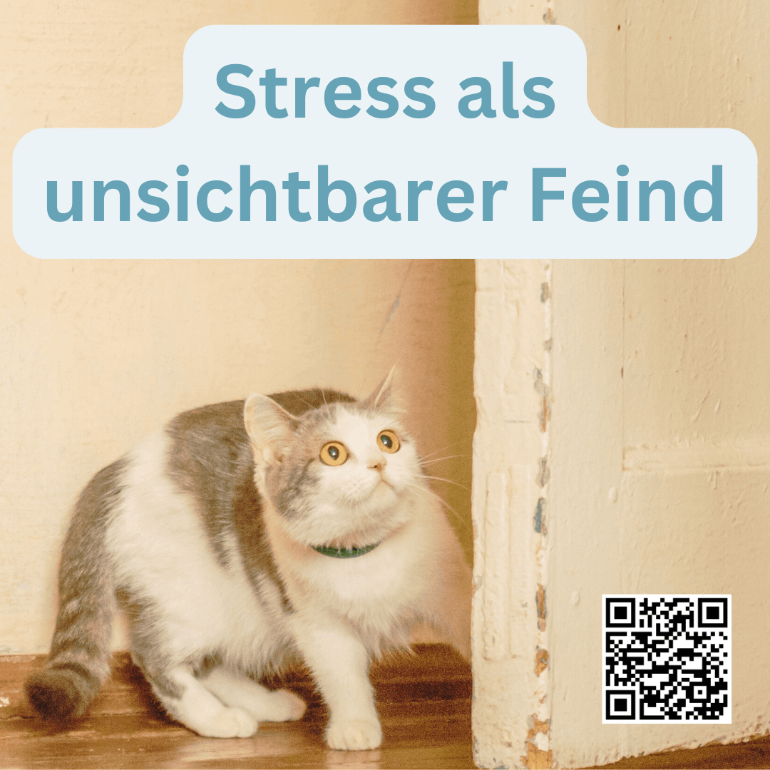 Stress als unsichtbarer Feind