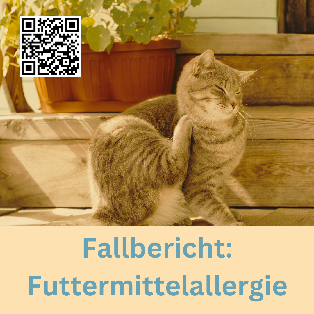 Futtermittelallergie - Fallbericht